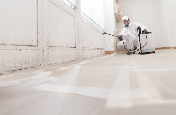 24/7 Emergency Mold Remediation experts in Barnesville, MN