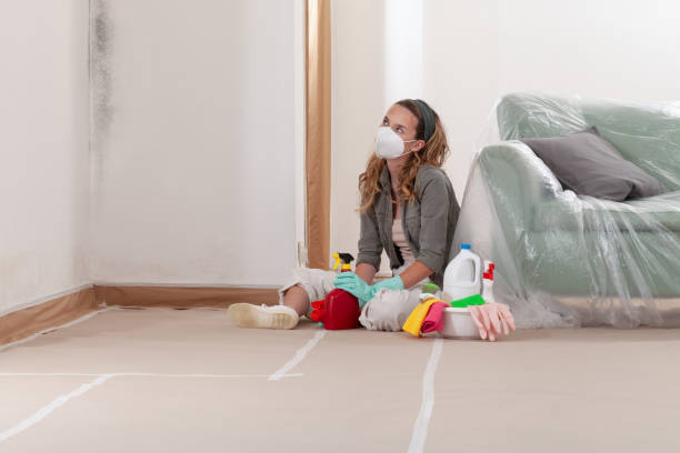 Reliable Mold Remediation contractor in Barnesville, MN by 24 Hour Mold Removal